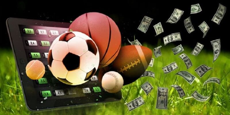 5MB có uy tín không là câu hỏi được game thủ quan tâm bậc nhất