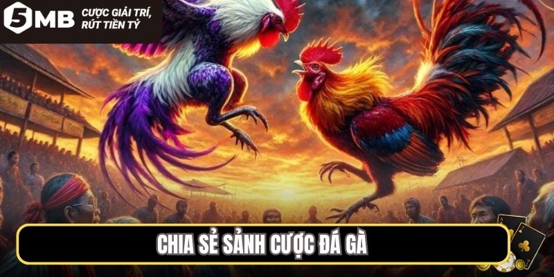 Chia sẻ sảnh cược đá gà